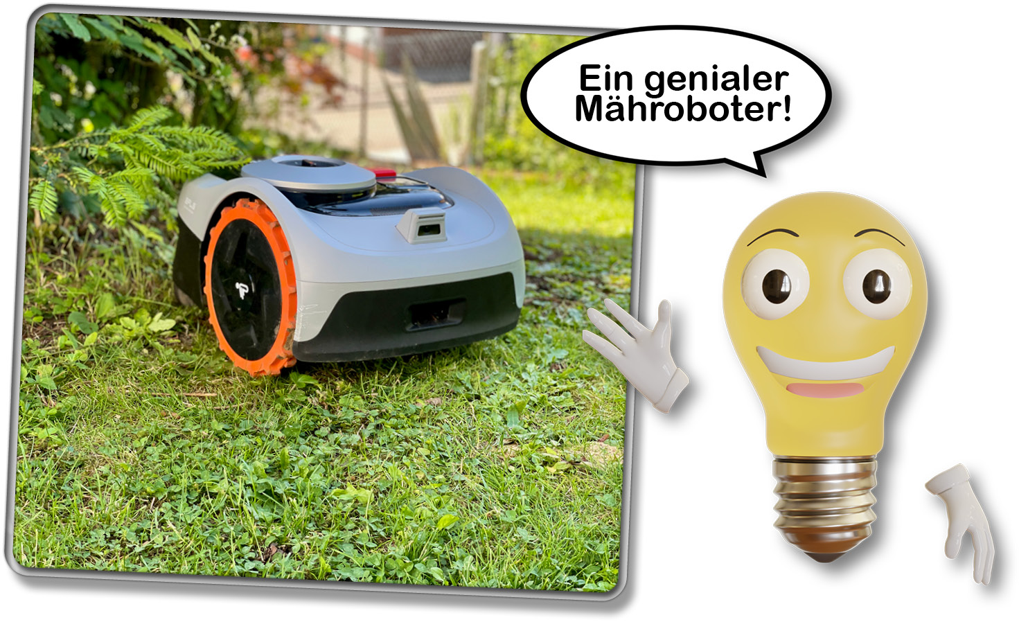 Der Segway Navimow i105 konnte in unserem Test zeigen, dass er ein hervorragender Mähroboter ist.