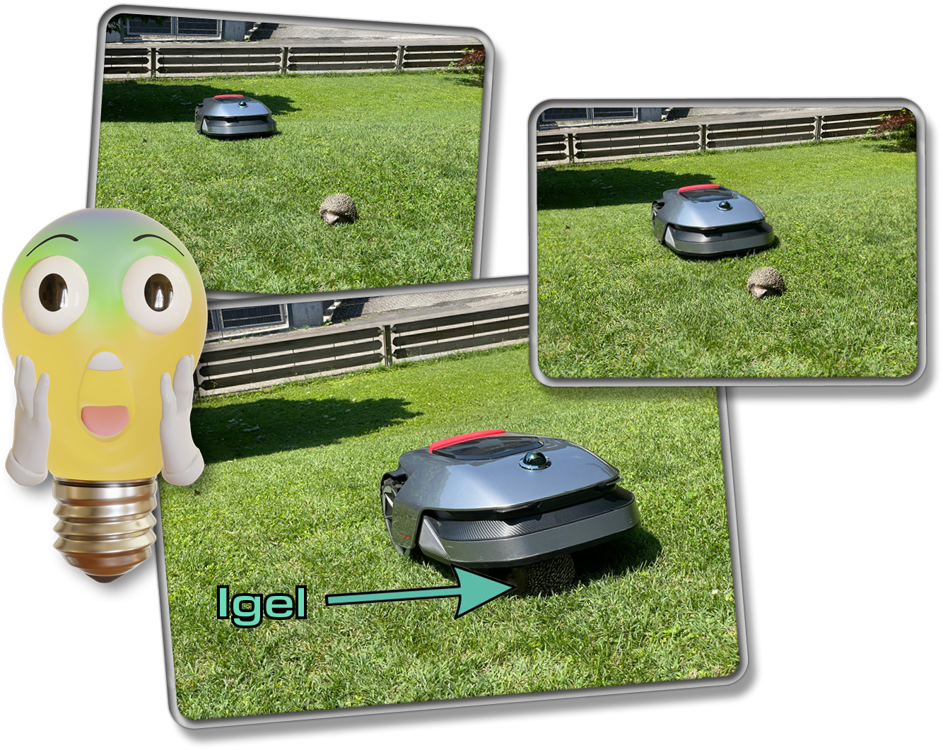 Kleine Hindernisse wie Igel überfährt der Dreame A1 aber gerne