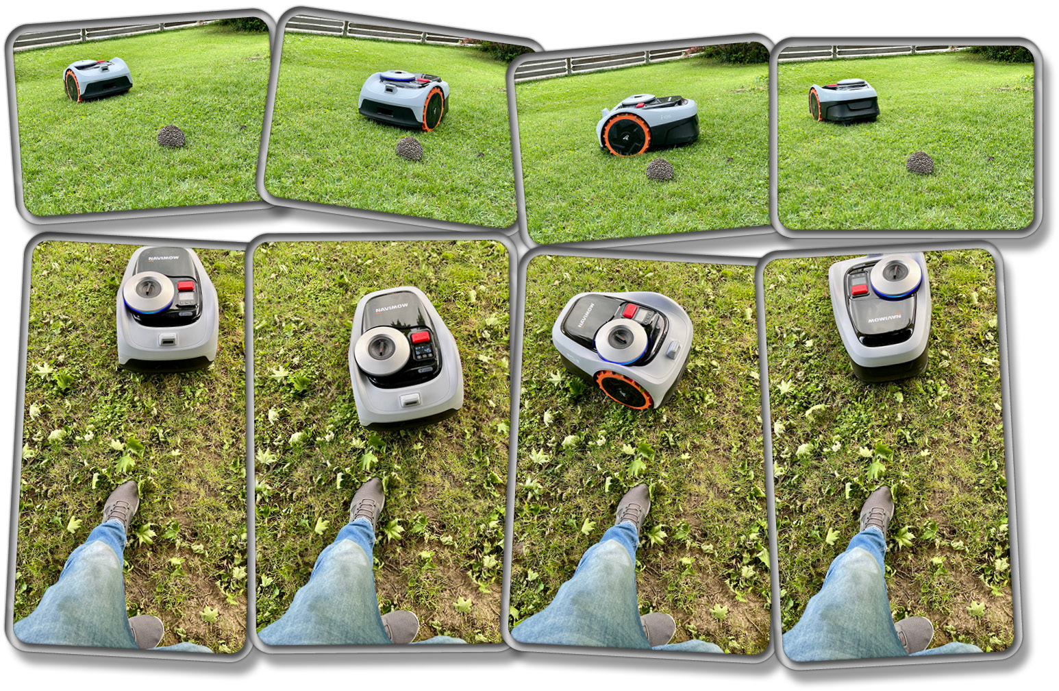 Sowohl Igel, als auch meinen Fuß hat er nicht überfahren wollen