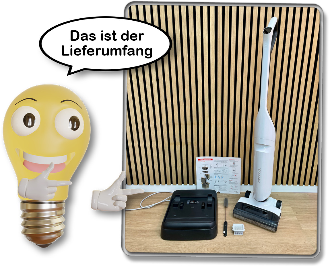 Das ist der Lieferumfang des Roborock Flexi Pro