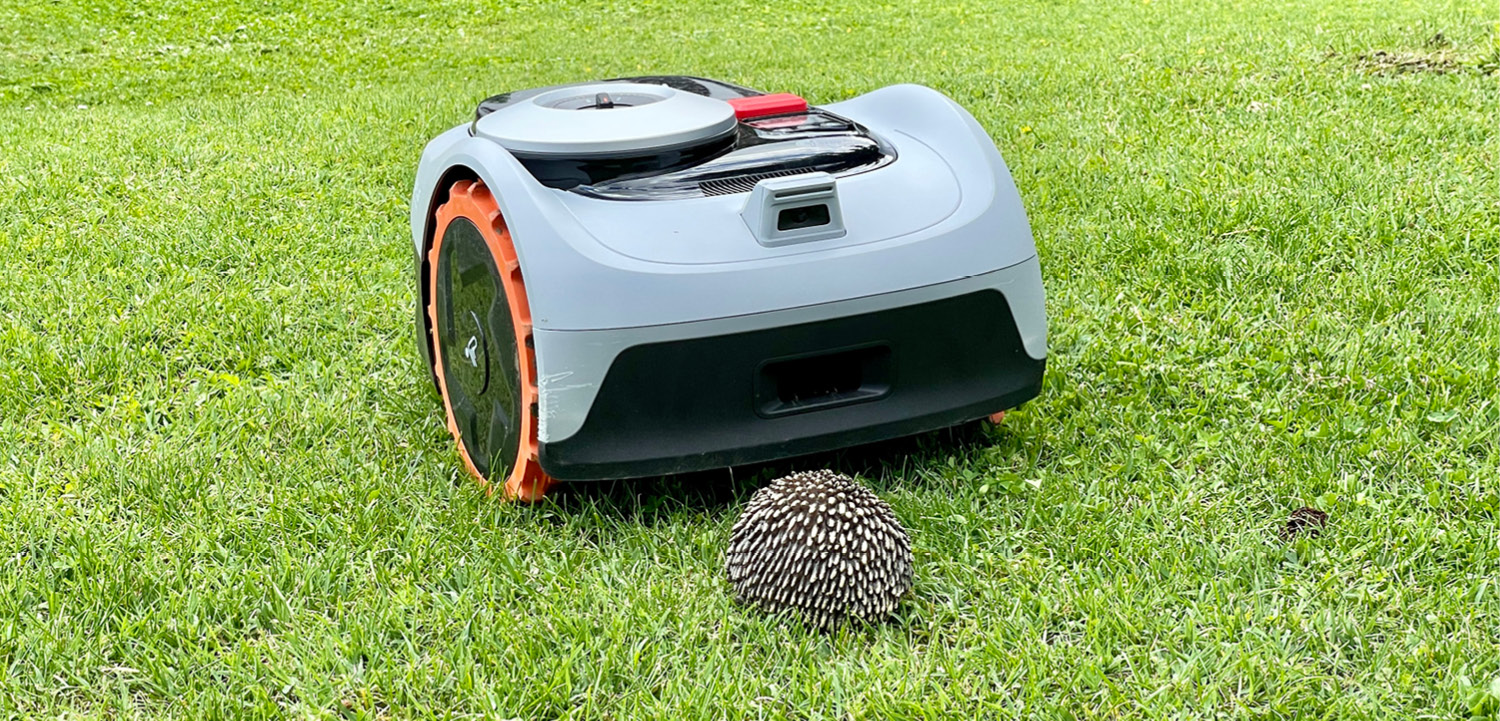 Mähroboter Igel