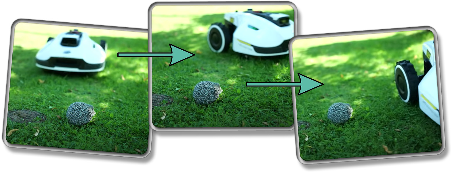 Auch Igel erkennt er und umfährt diese Zuverlässig