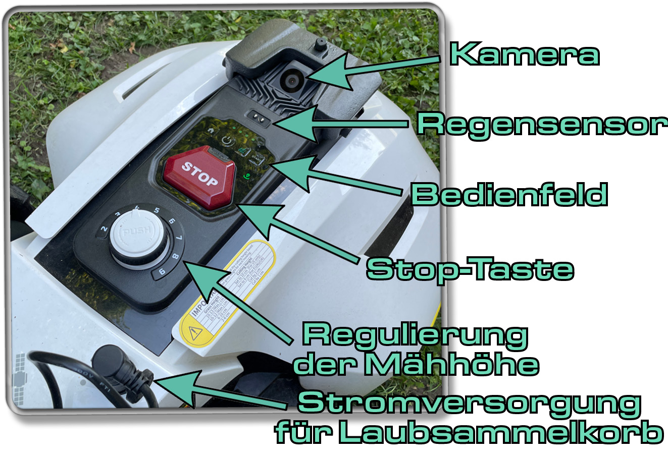 Das befindet sich alles auf der Oberseite des YUKA