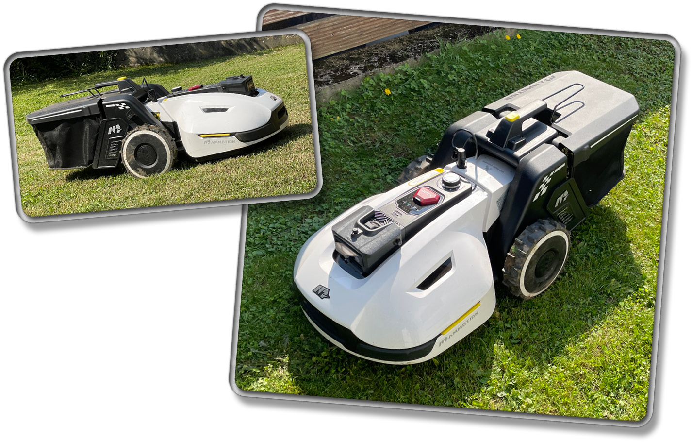 So sieht der Mammotion YUKA aus