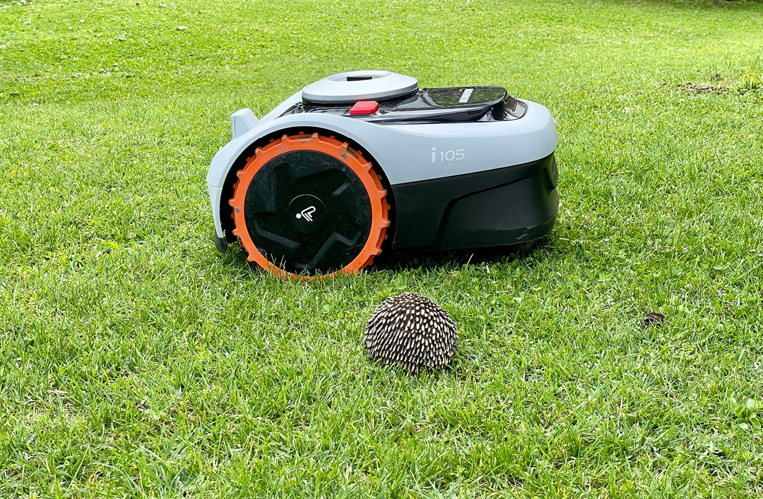 Segway Navimow Tierfreundlich-Modus1