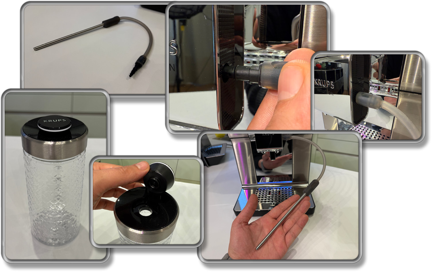 Das ist der Milchschlauch samt Lanze