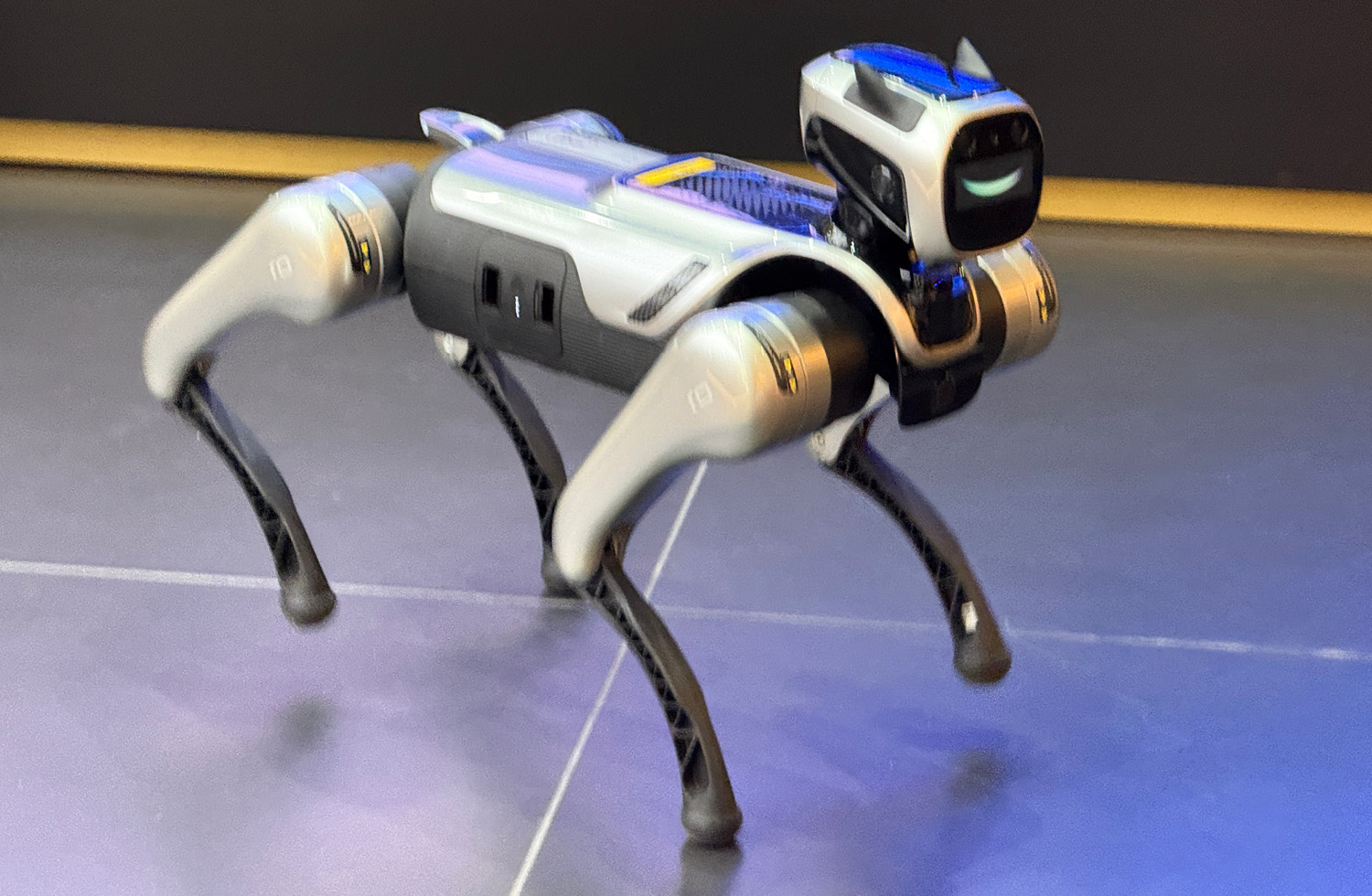 Dreame eröffnet Flagship-Store in Frankfurt am Main