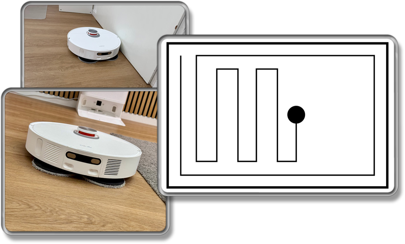 Erst widmet er sich dem Rand, dann fährt er in geraden Bahnen durch die Mitte