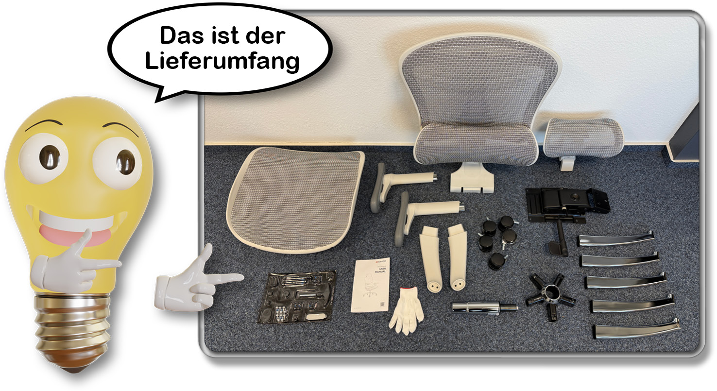 Das ist der Lieferumfang des Sihoo Doro C300