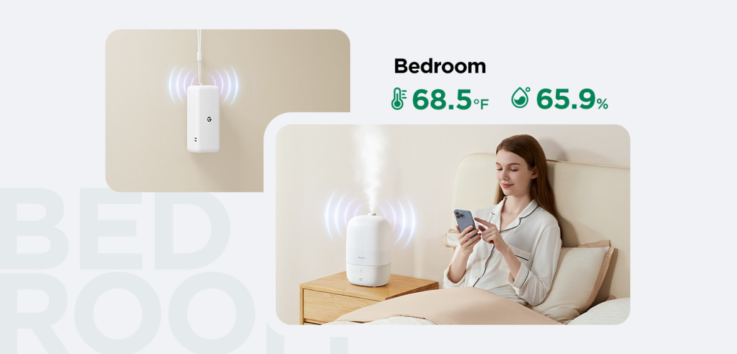 Govee Smart Thermo-Hygrometer 3