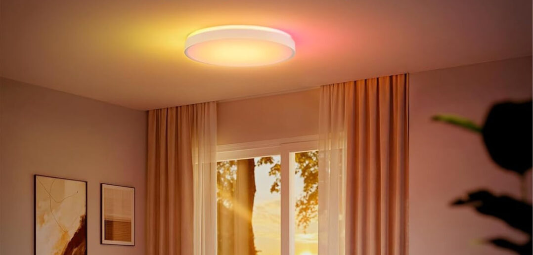 Govee Ceiling Light