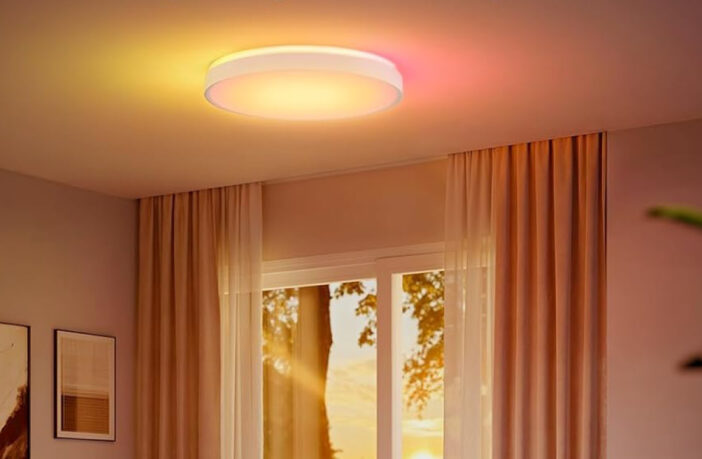 Govee Ceiling Light