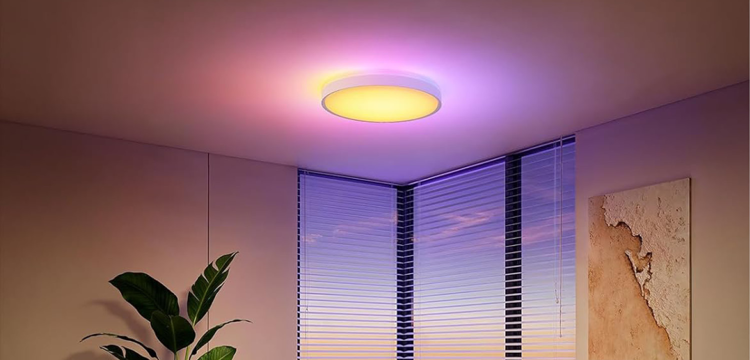 Govee Ceiling Light