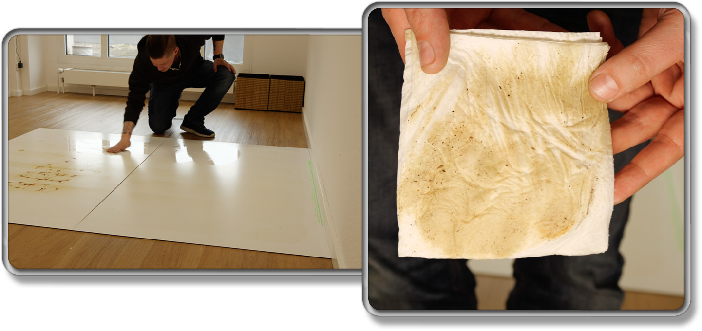 So viel Schmutz hat der ECOVACS DEEBOT T50 OMNI wirklich aufgenommen