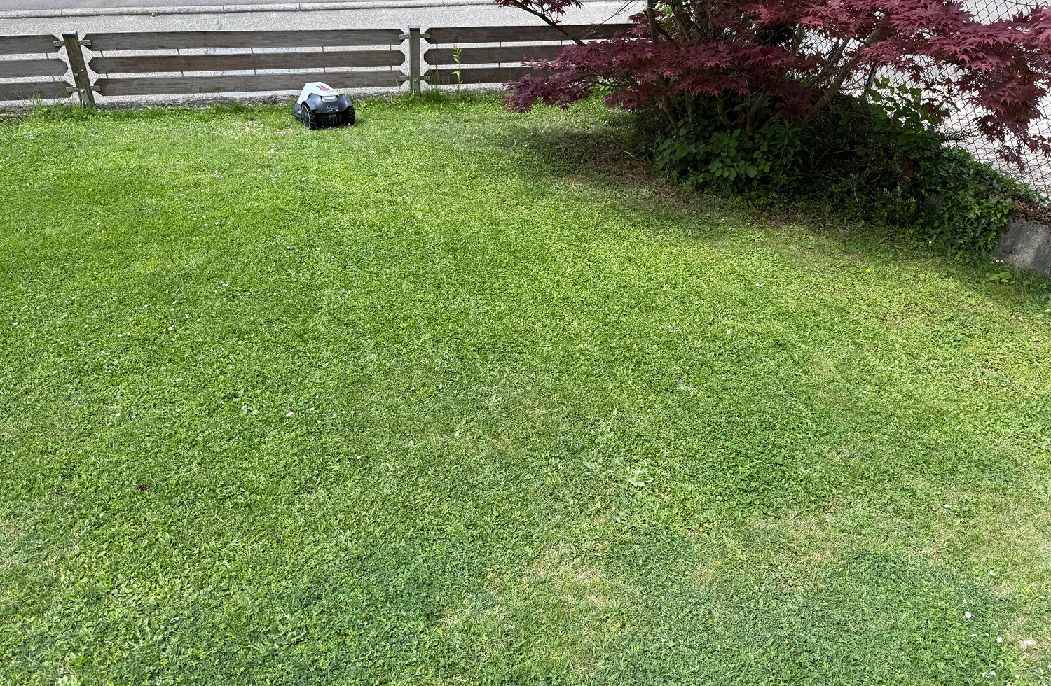 Das Schnittbild des eufy E15 hinterlässt die typischen Streifen auf dem Rasen