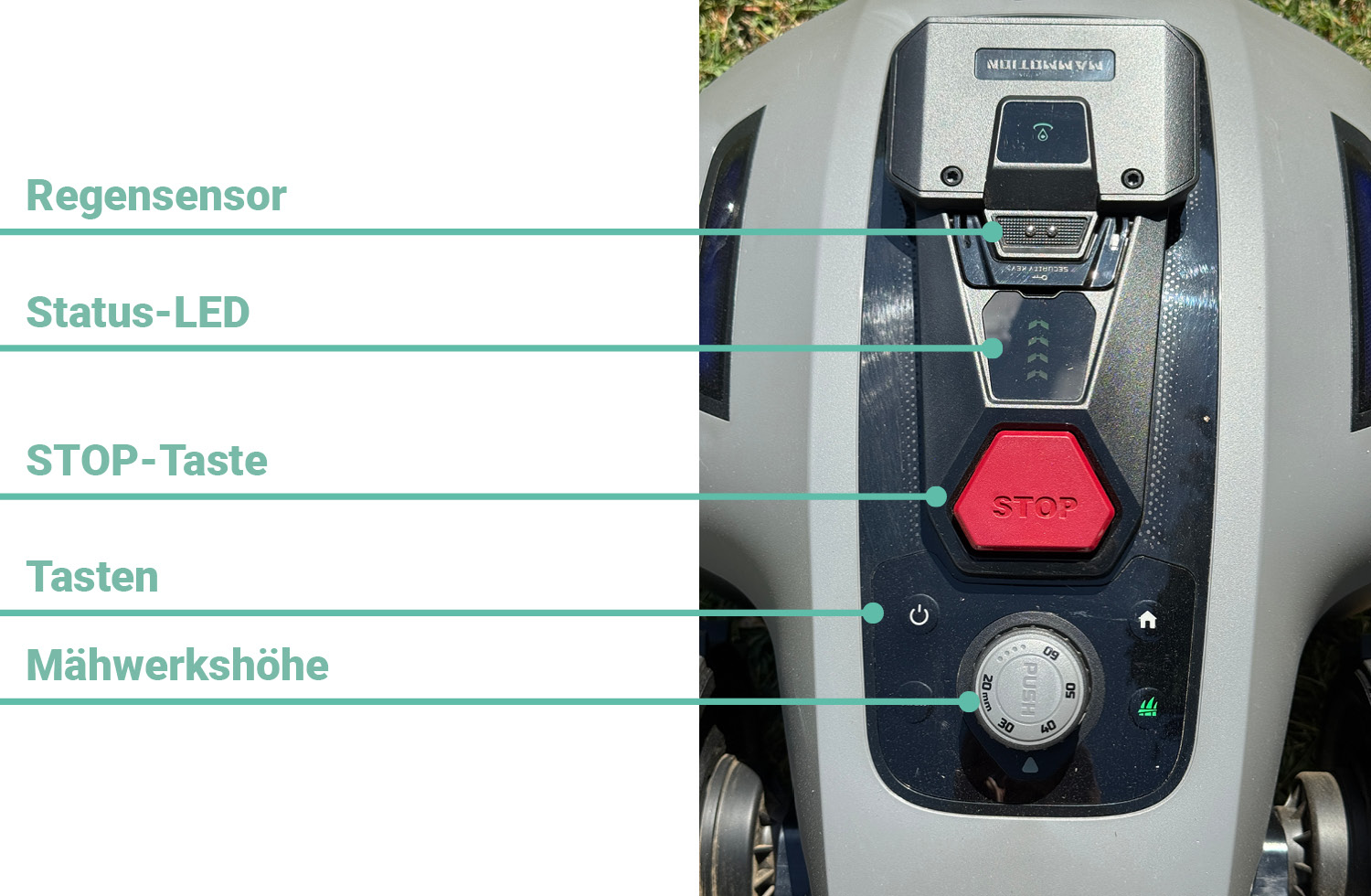 Das befindet sich auf der Oberseite des Mammotion YUKA Mini