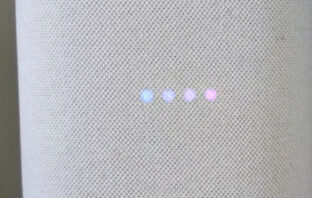 Gemini Google Nest Audio