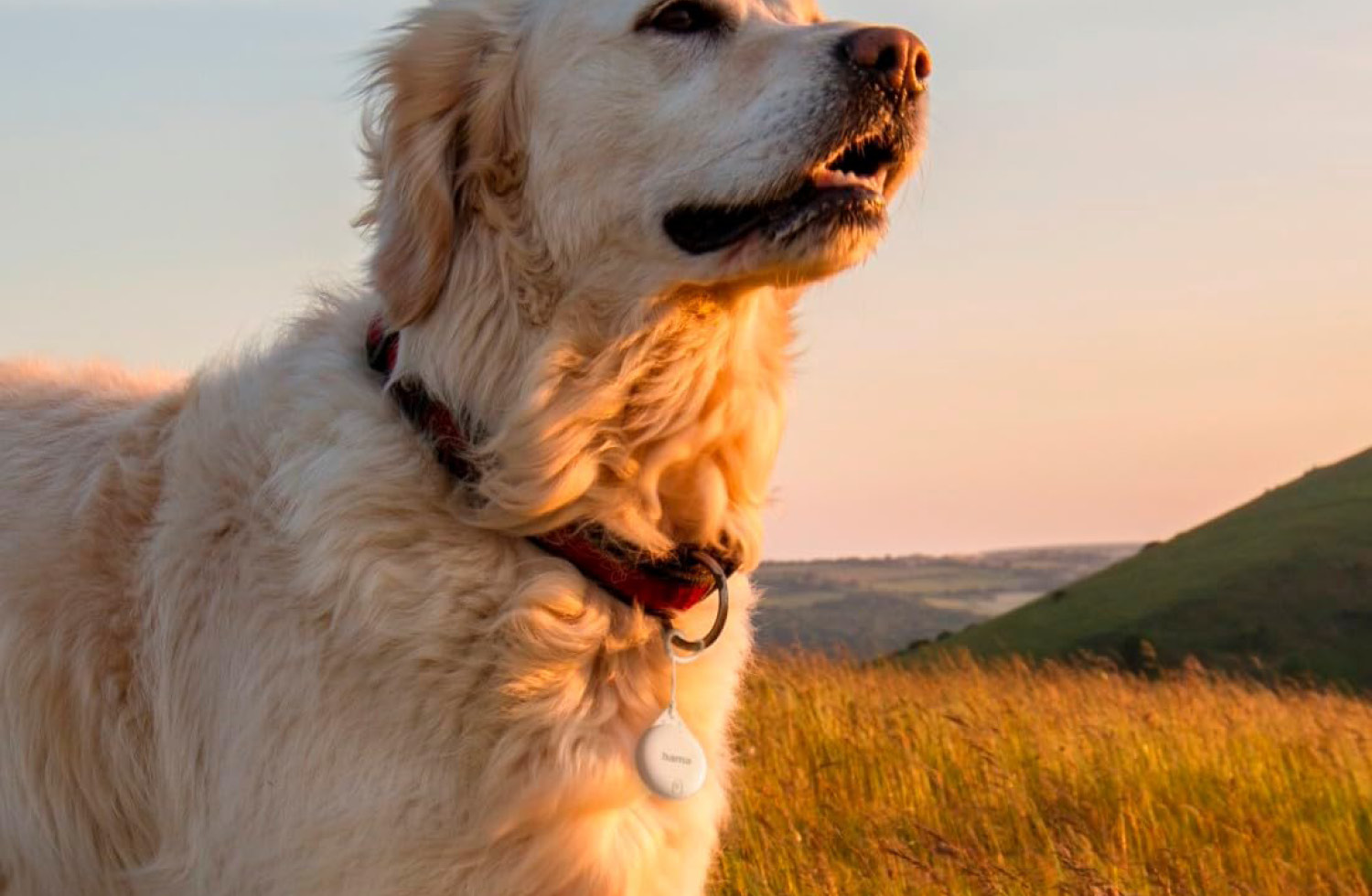 Hama Schlüsselfinder