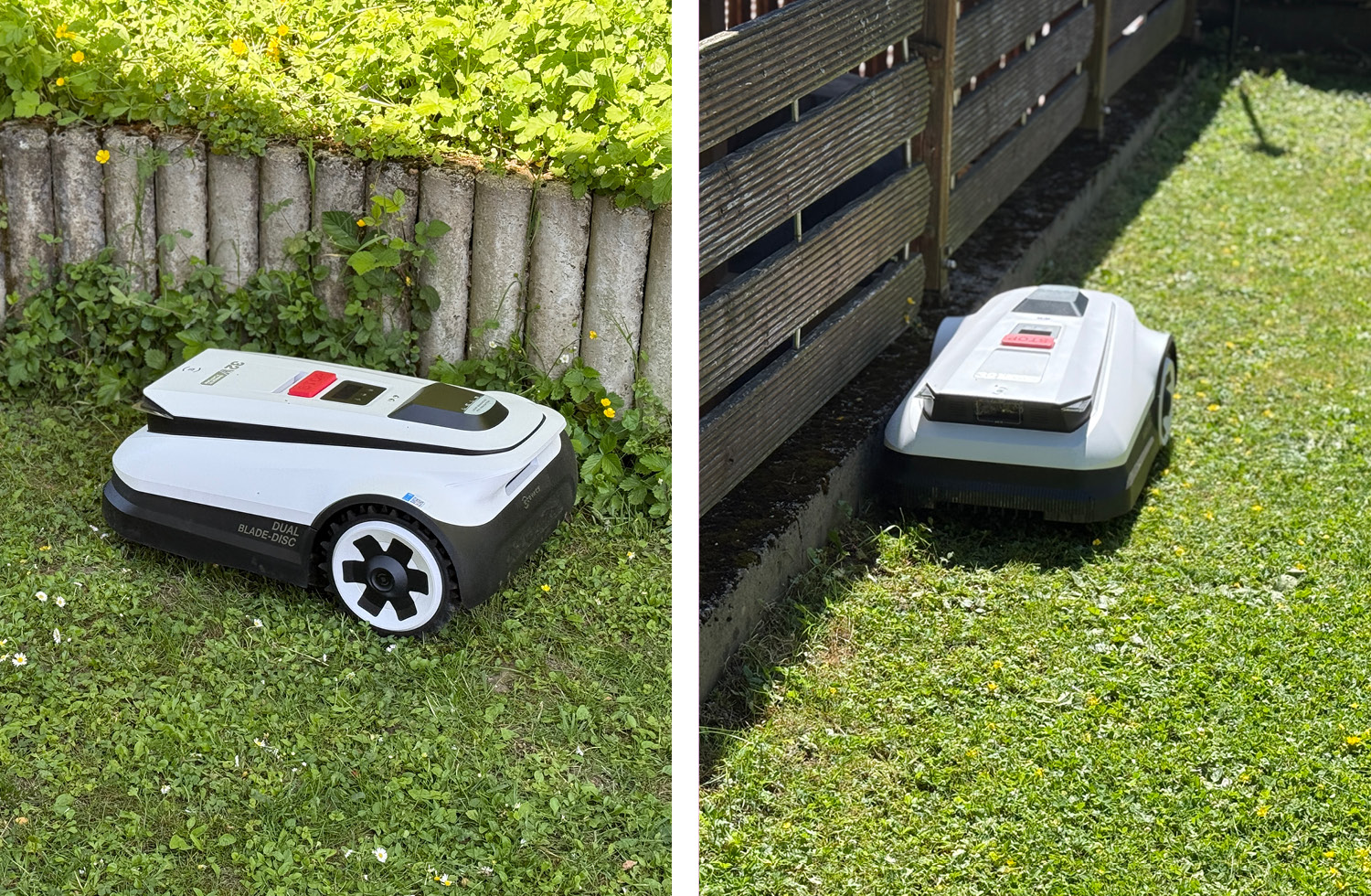 Nach dem Aufstellen wird der ECOVACS GOAT A1600 RTK zum einkartieren geschickt