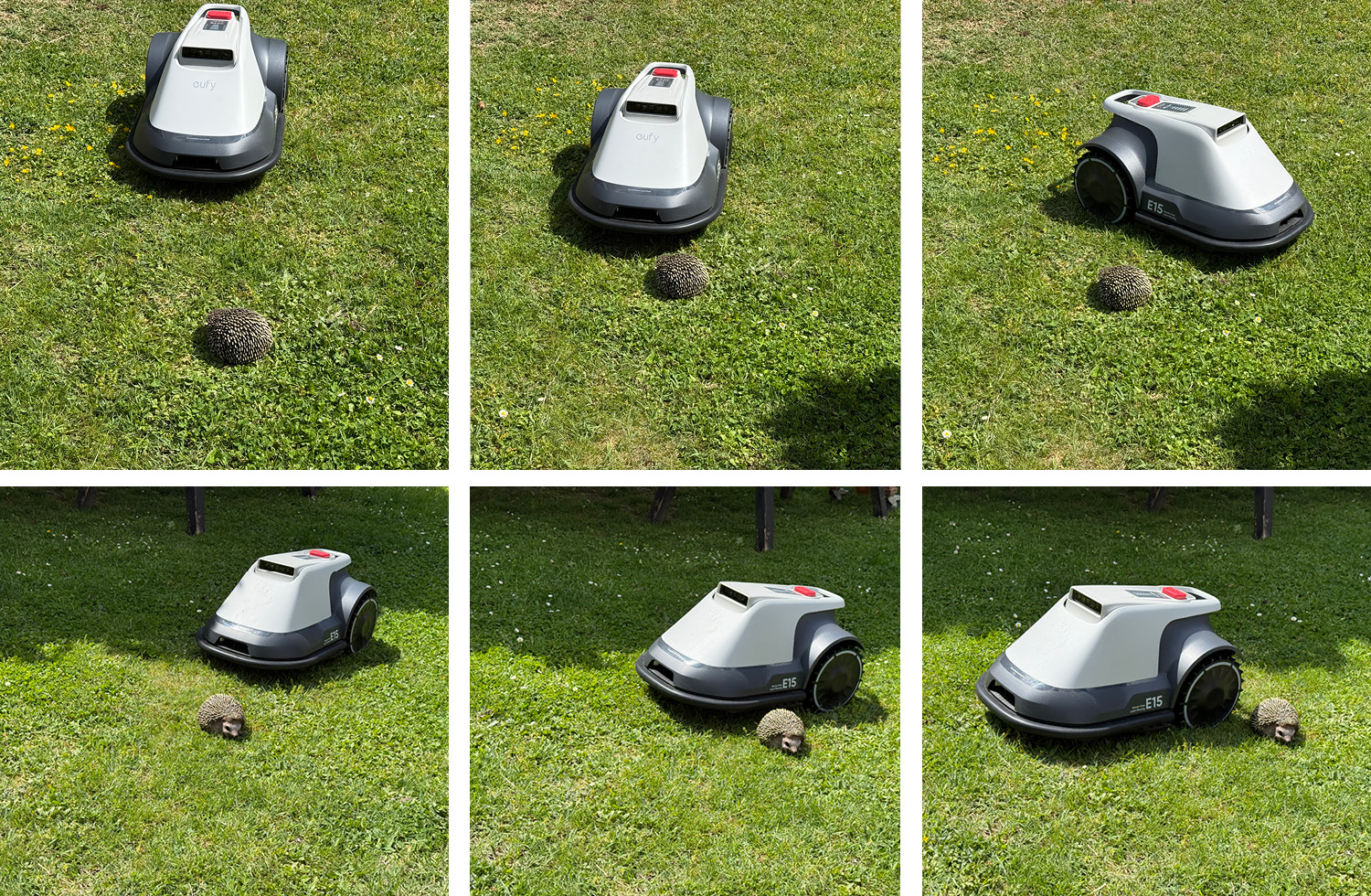 Unser Igel wurde im Test nicht ein einziges Mal vom eufy E15 überfahren