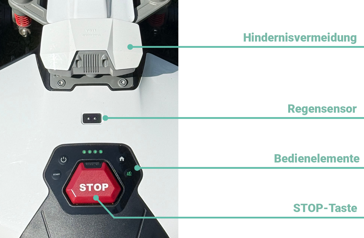 Das befindet sich auf der Oberseite des Mammotion LUBA Mini AWD