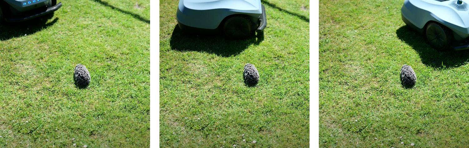 Den Igeltest hat der Hookii Neomow X bestanden!