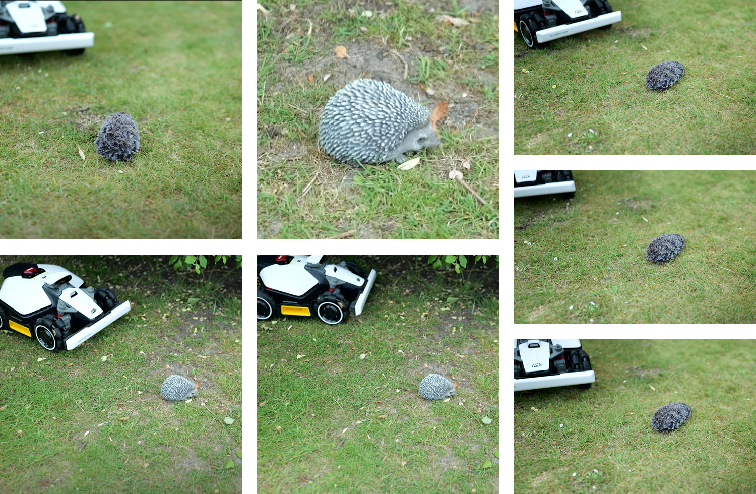 Der Mammotion LUBA Mini AWD hat nicht einen unserer Igel berührt