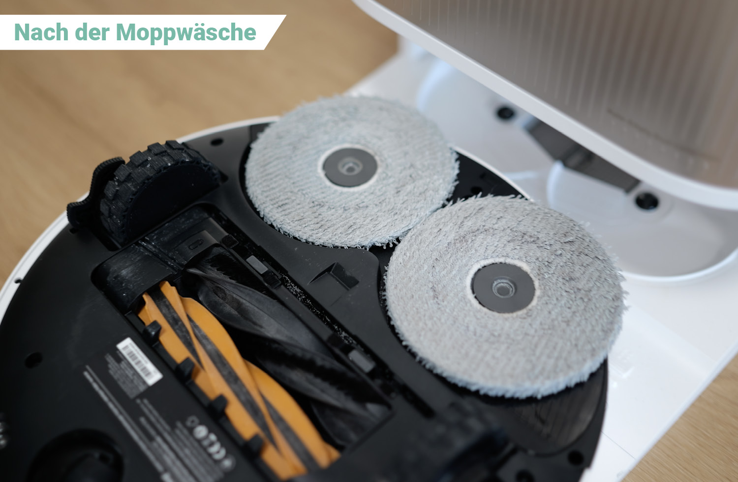 So sehen die Mopps nach der Moppwäsche aus