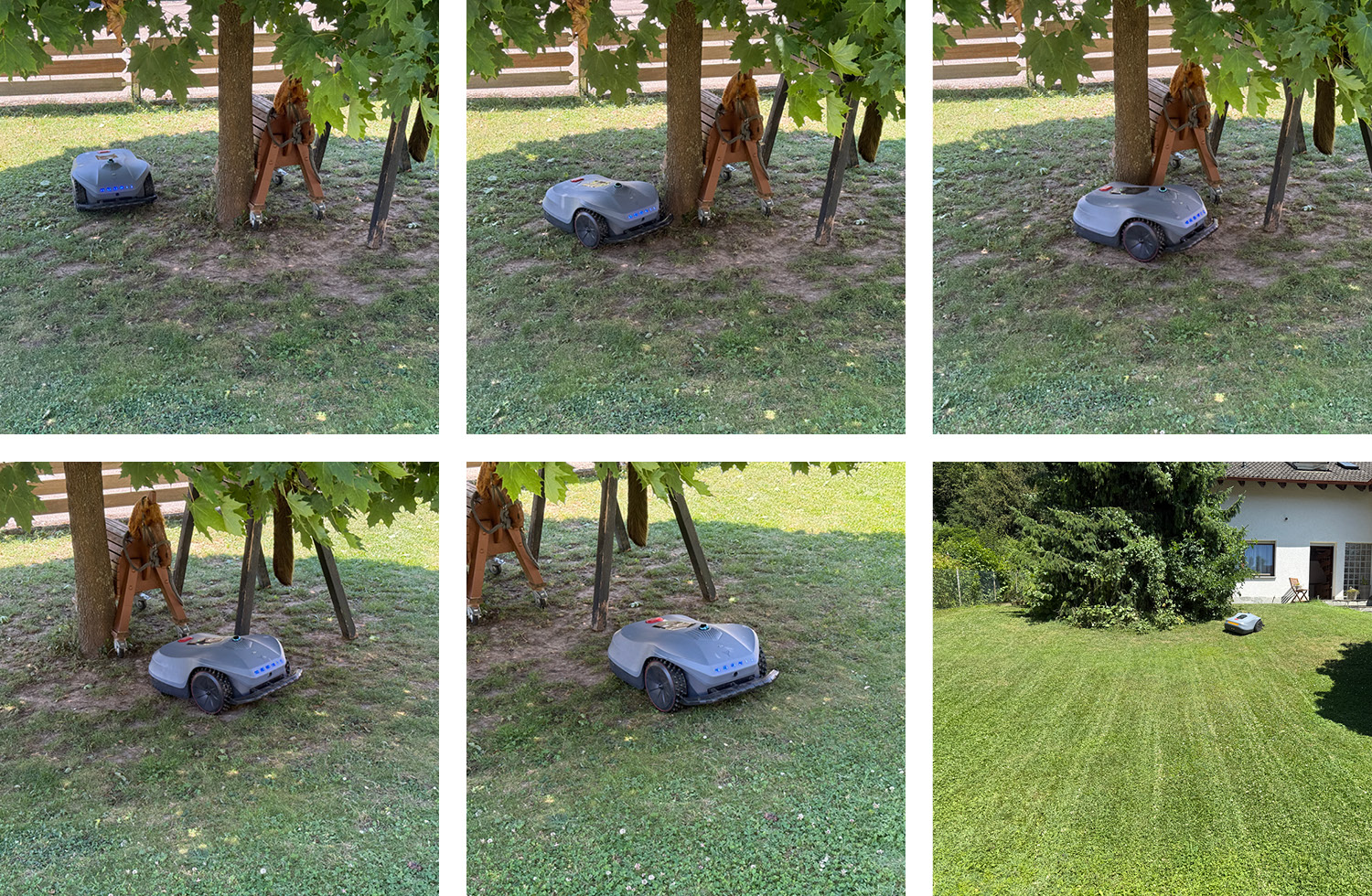 Unsere Pferde aus Holz sowie den Baum hat der Hookii Neomow X nie berührt