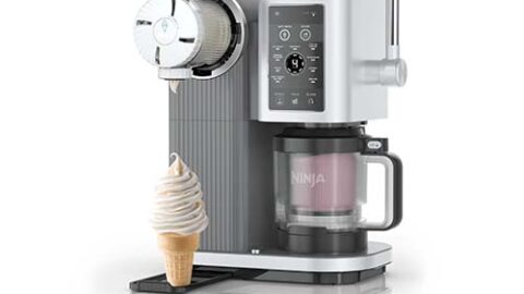 Ninja Swirl für verschiedenste Eissorten