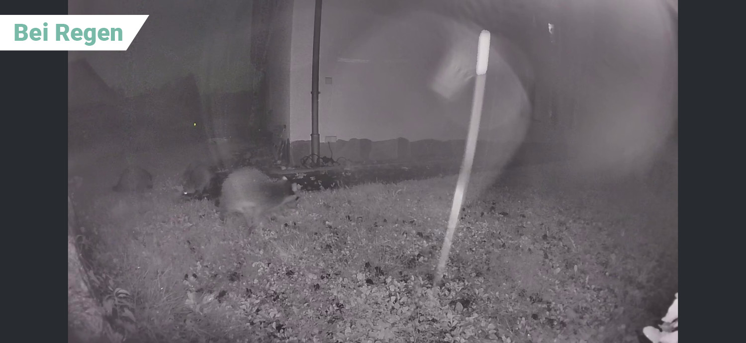 Auch bei Regen hat die Kamera funktioniert
