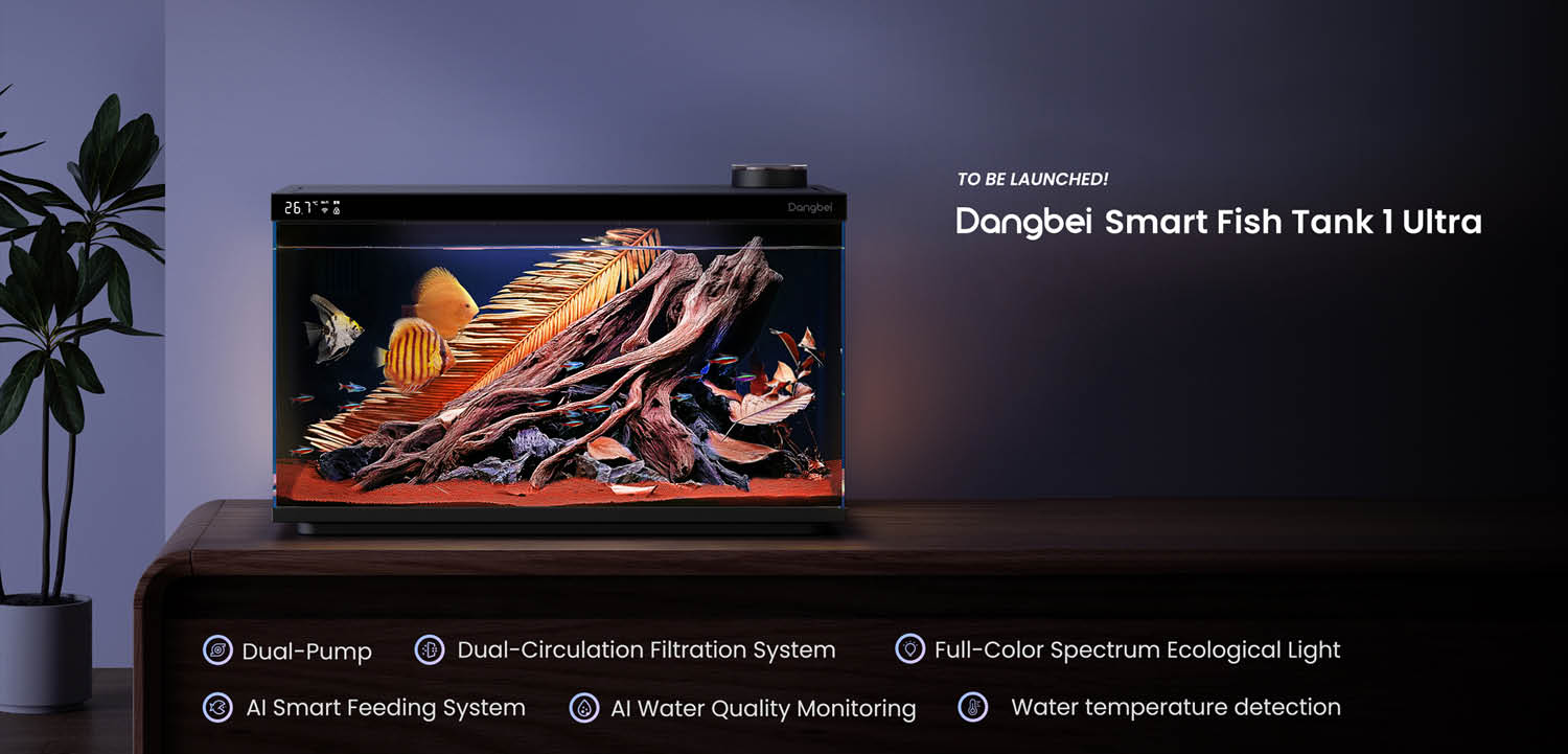 Dangbei Smartes Aquarium