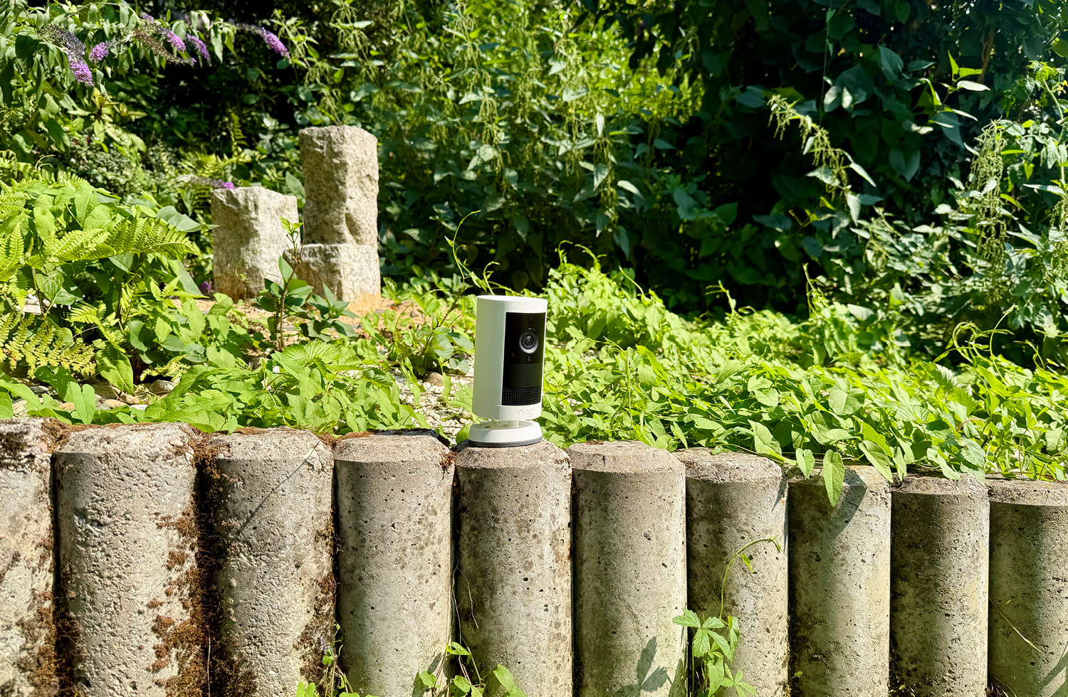 Ich habe die Ring Outdoor Cam Plus direkt im Garten aufgestellt