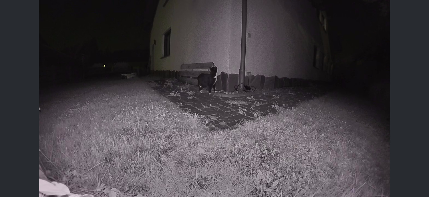 In den ersten Nächten hatte ich noch eine Katze auf den Aufnahmen