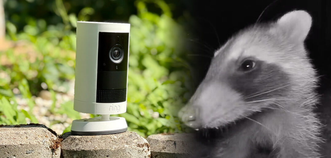 Ring Outdoor Cam Plus - TEST