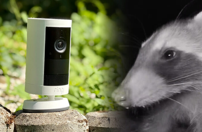 Ring Outdoor Cam Plus - TEST