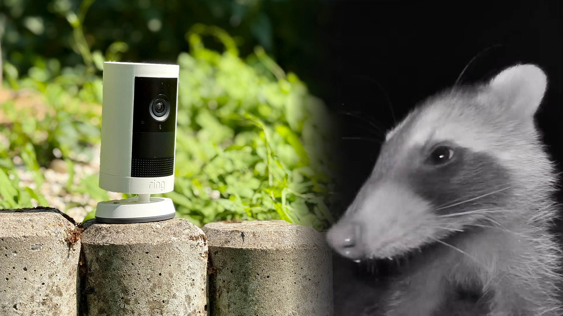 Ring Outdoor Cam Plus im Test