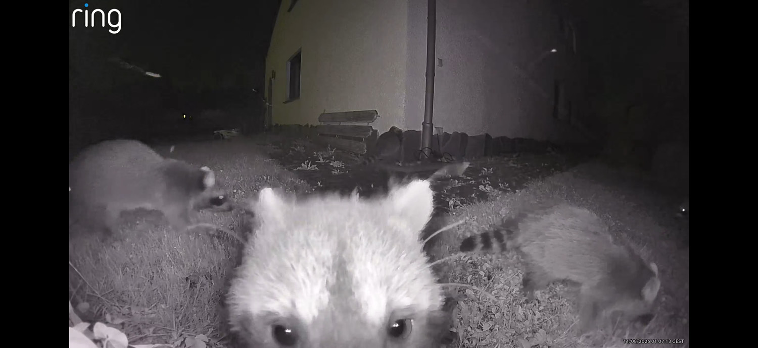 Trotzt stetiger Bewegungserkennung hält der Akku sehr lange
