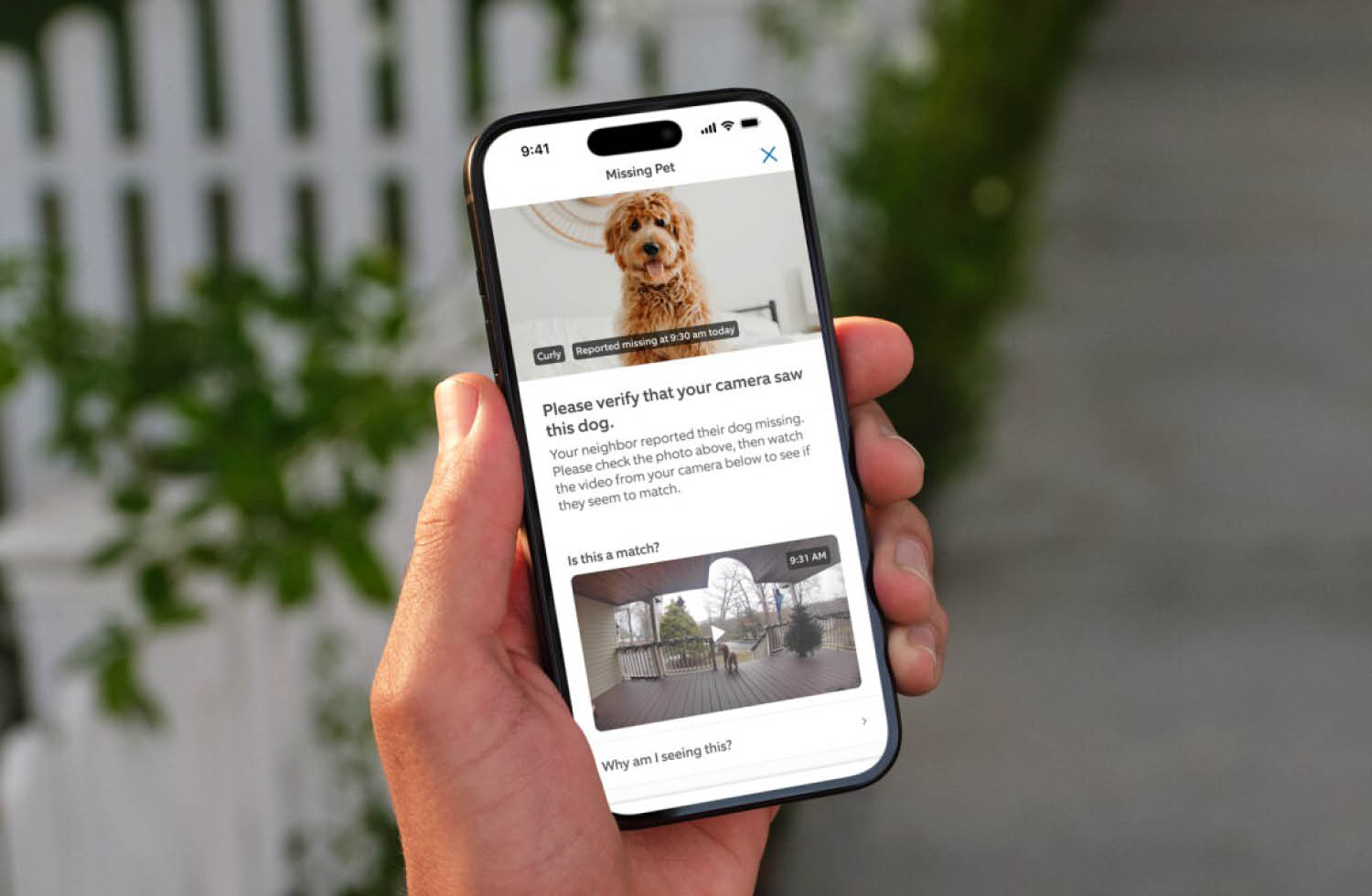 Amazon Ring Überwachungskameras Tier