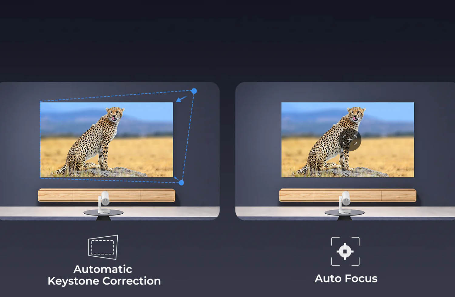 Etoe Starfish Plus Bildkorrektur