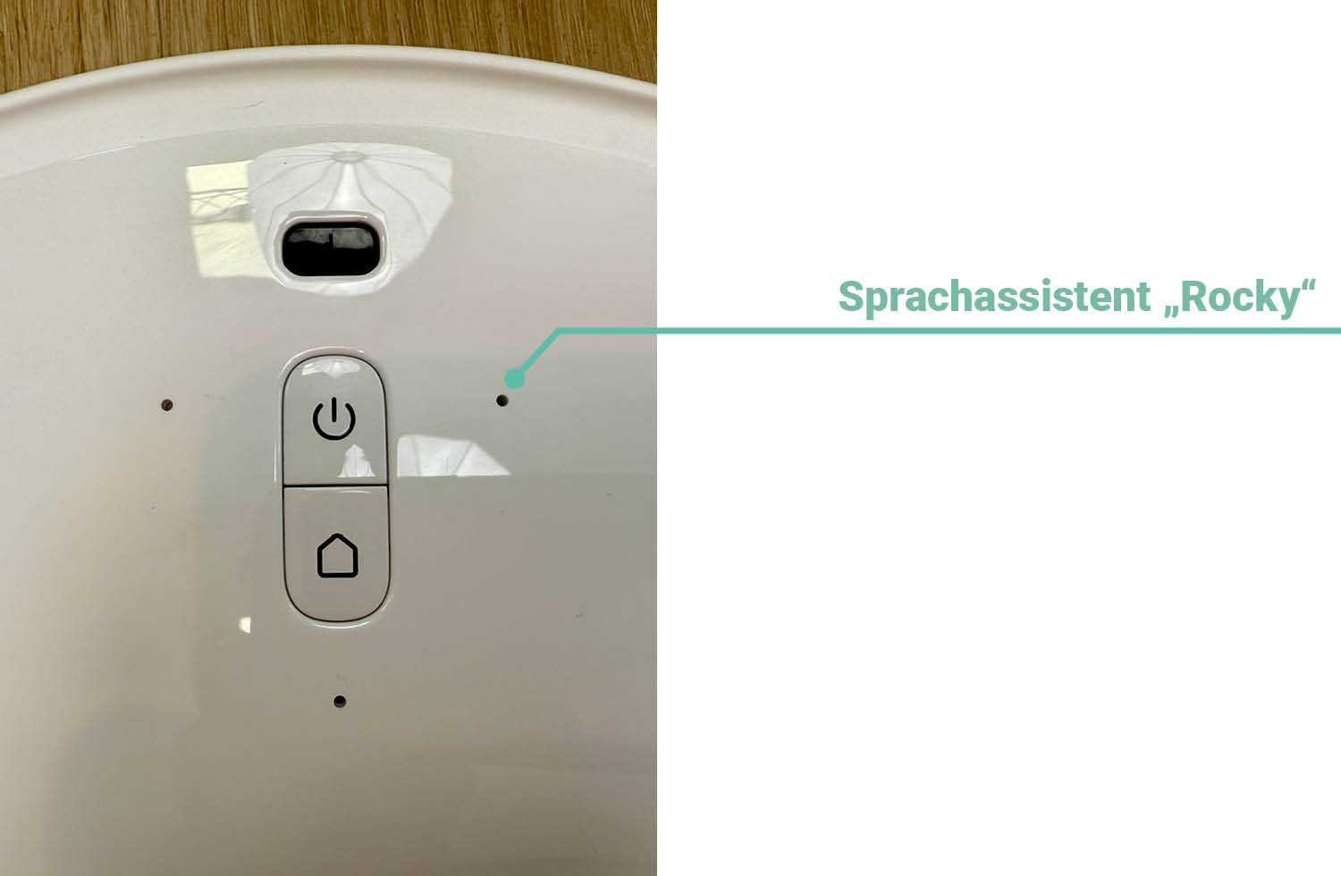Roborock Qrevo CurvX Sprachassistent Rocky