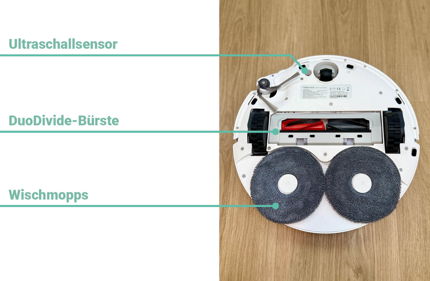 Roborock Qrevo CurvX Unterseite