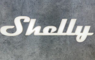 Shelly Logo