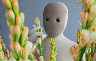 1X Neo Humanoider Roboter News