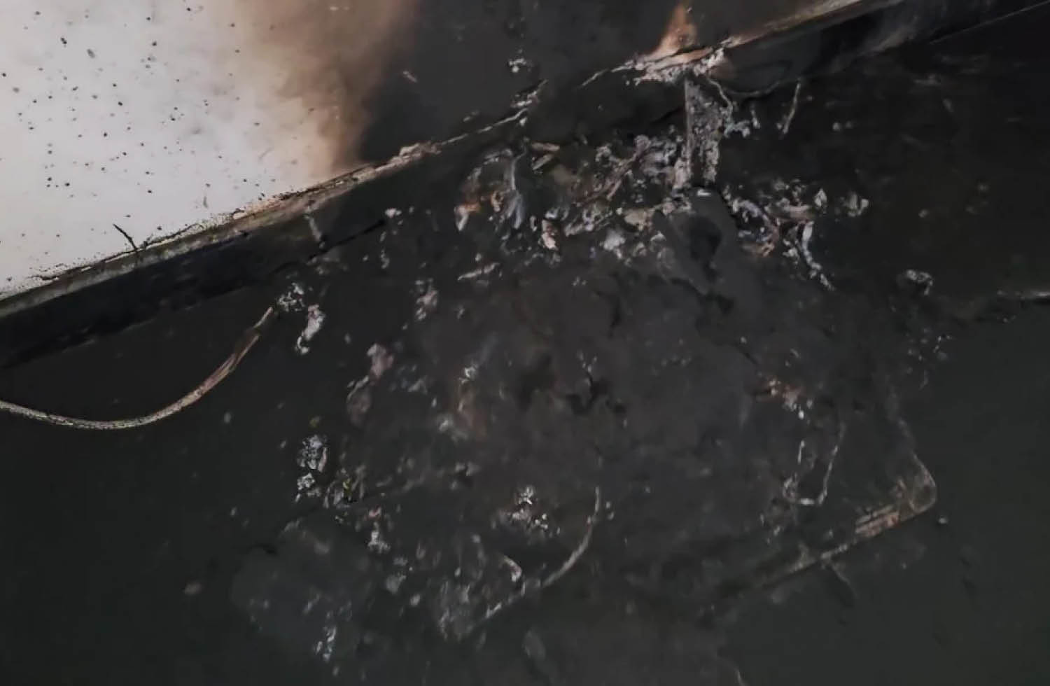 Brand Ecovacs Saugroboter Bild 2