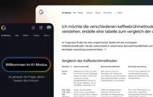 Google KI Modus