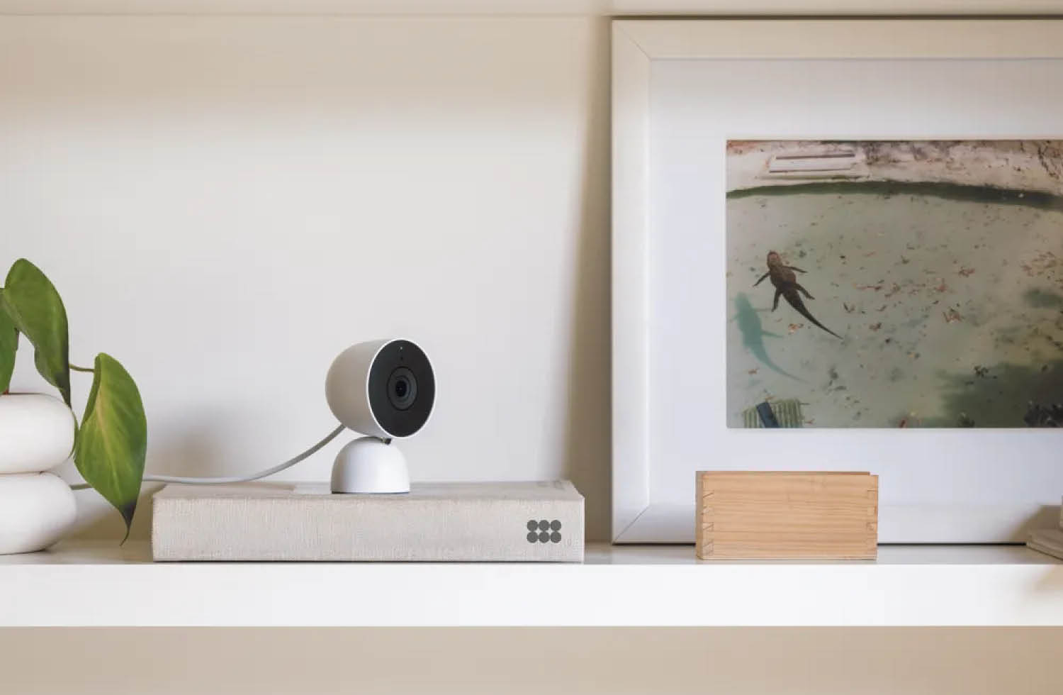 Google Nest Indoor Camera