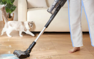 Levoit LVAC 200 Max News