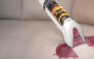 Shark StainForce News