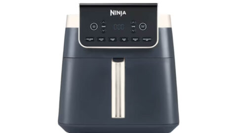 Ninja Black Friday Max Pro